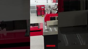 Prensa plegadora horizontal PP200CNC